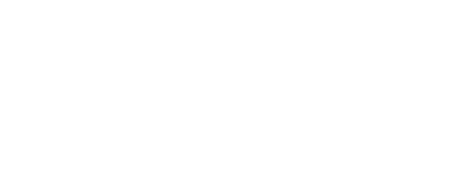 black-swan-logo-white