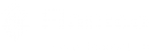 flamco-white logo